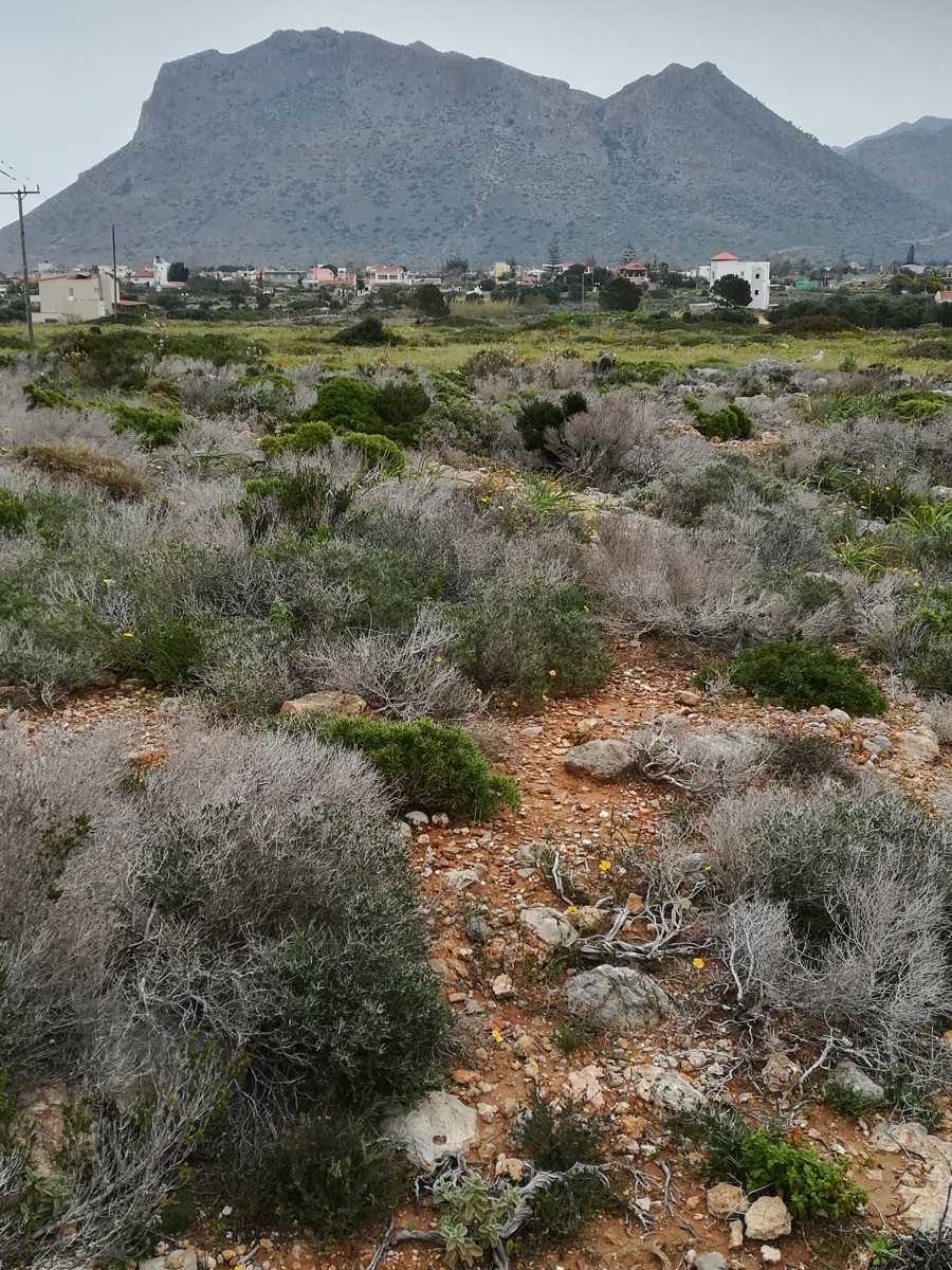 Tanah dalam Stavros,  10697862