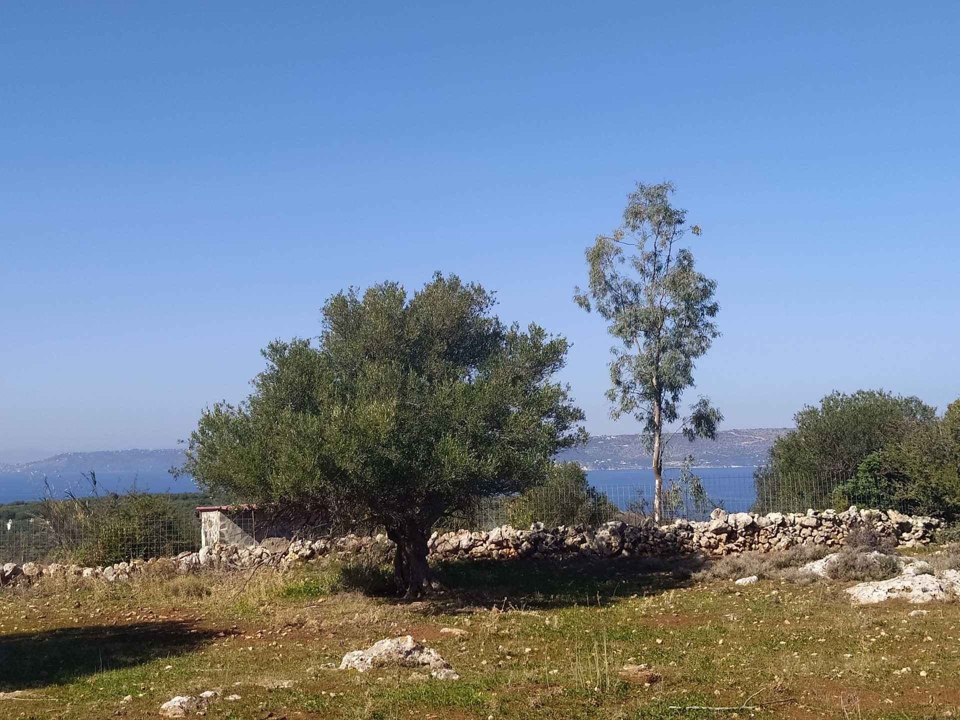 Земля в Кефалас, Криті 10697948