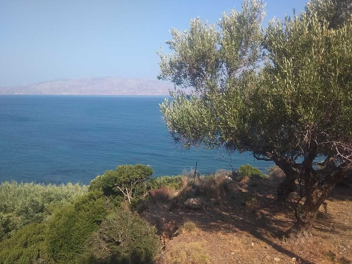 Земля в Рапаніана, Криті 10699541