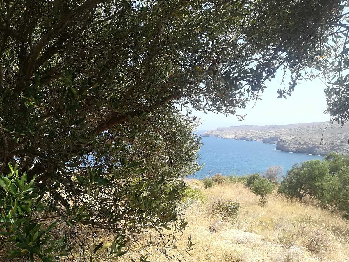 Земля в Кефалас, Криті 10699551