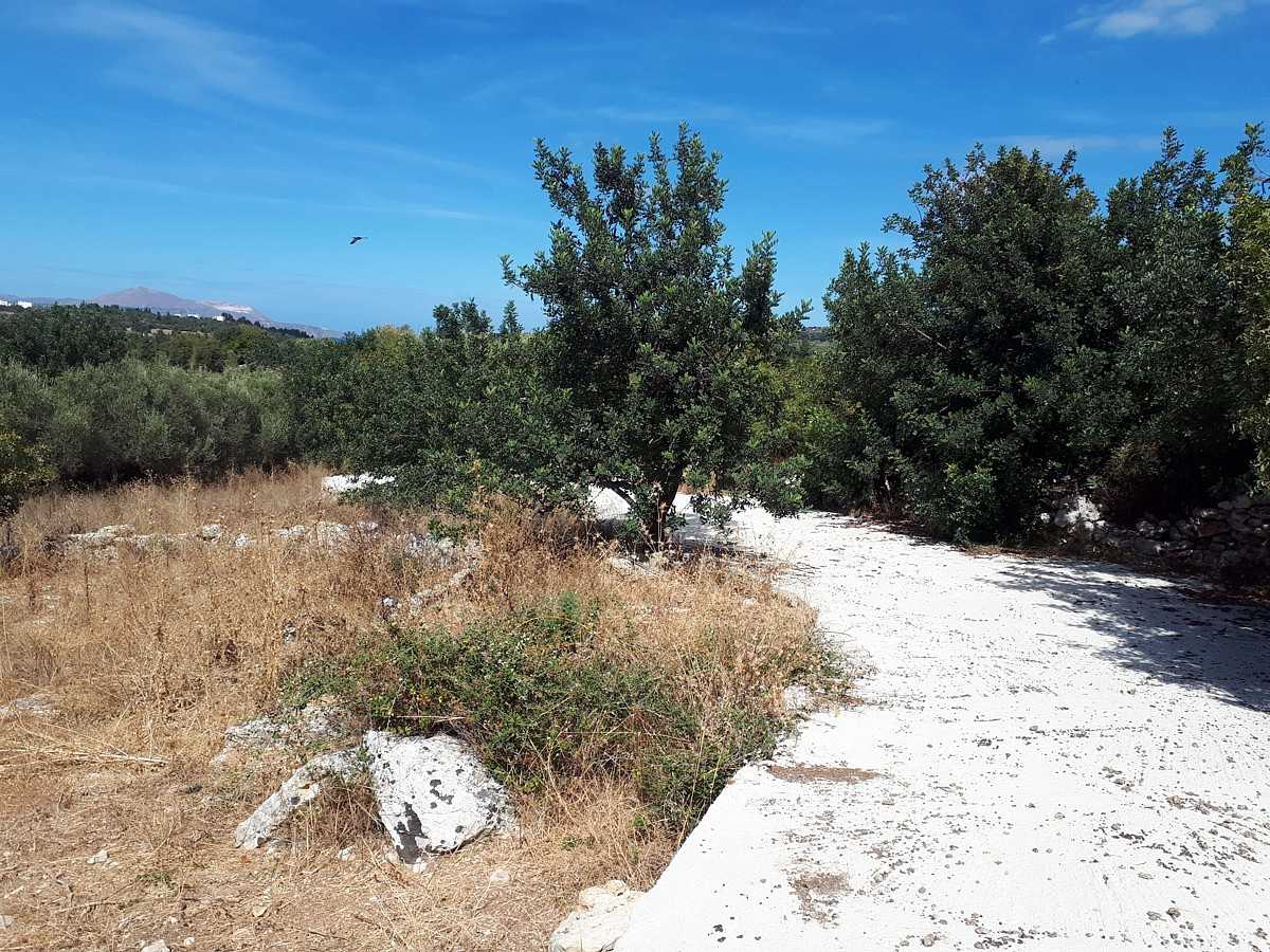 Земельные участки в Нипос, Крити 10699552