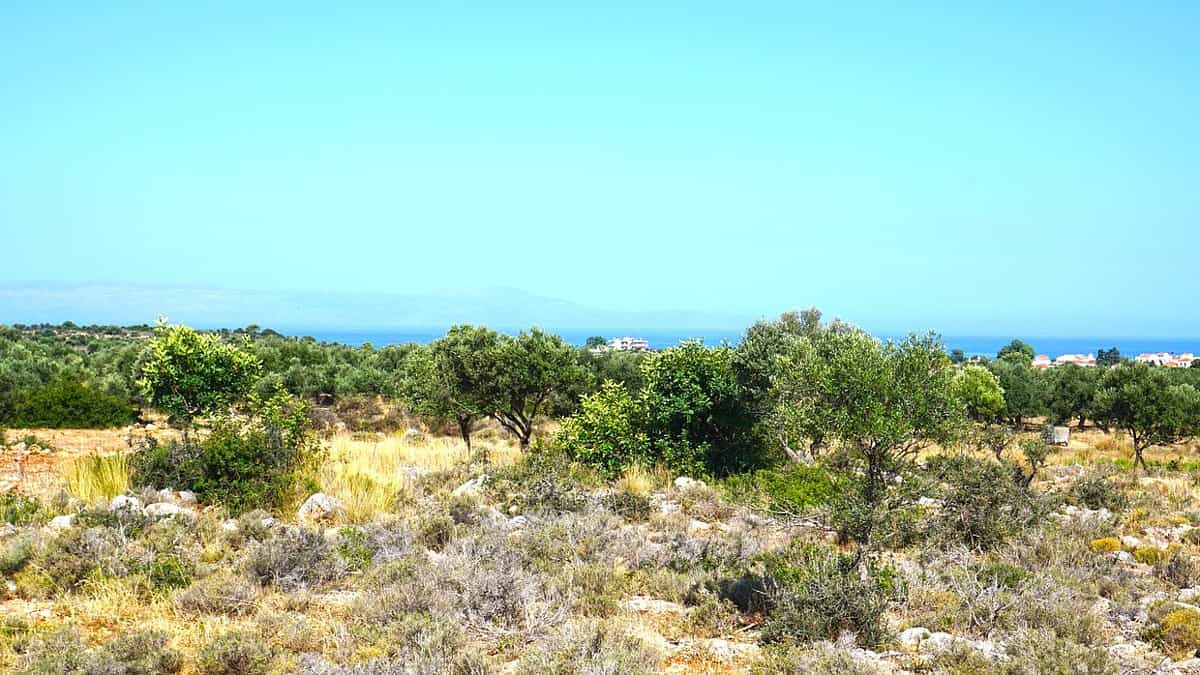 Земля в Хорафакія, Криті 10699599