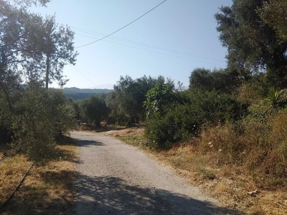 Land in Polemarchi,  10699613