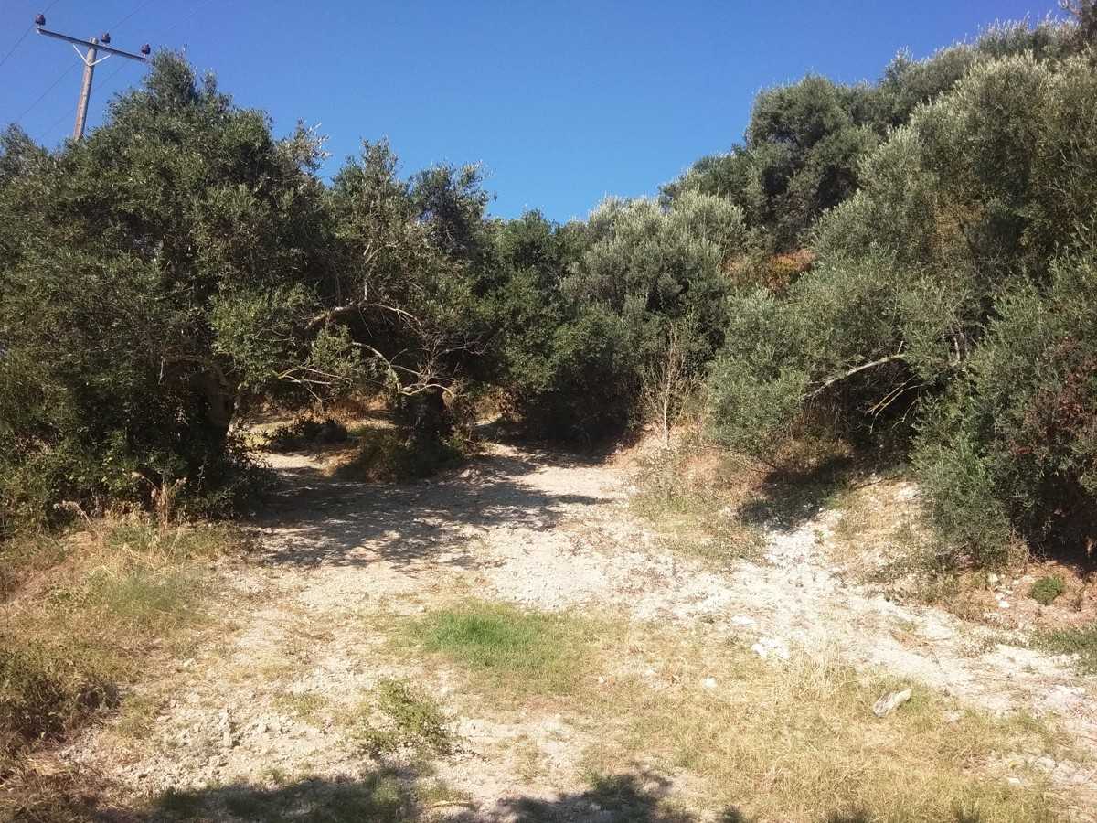 Land in Polemarchi,  10699613