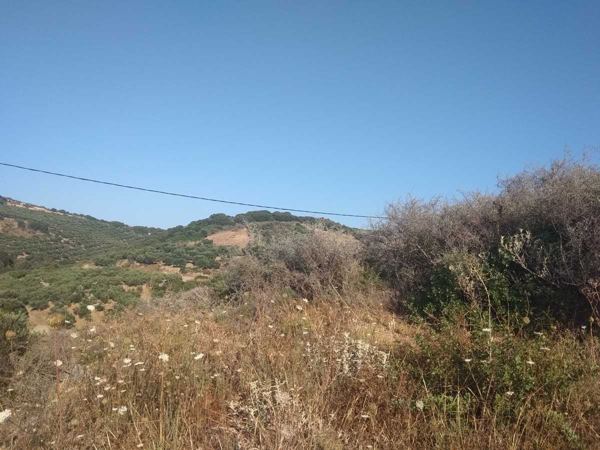 Land in Zympragos, Kriti 10699631