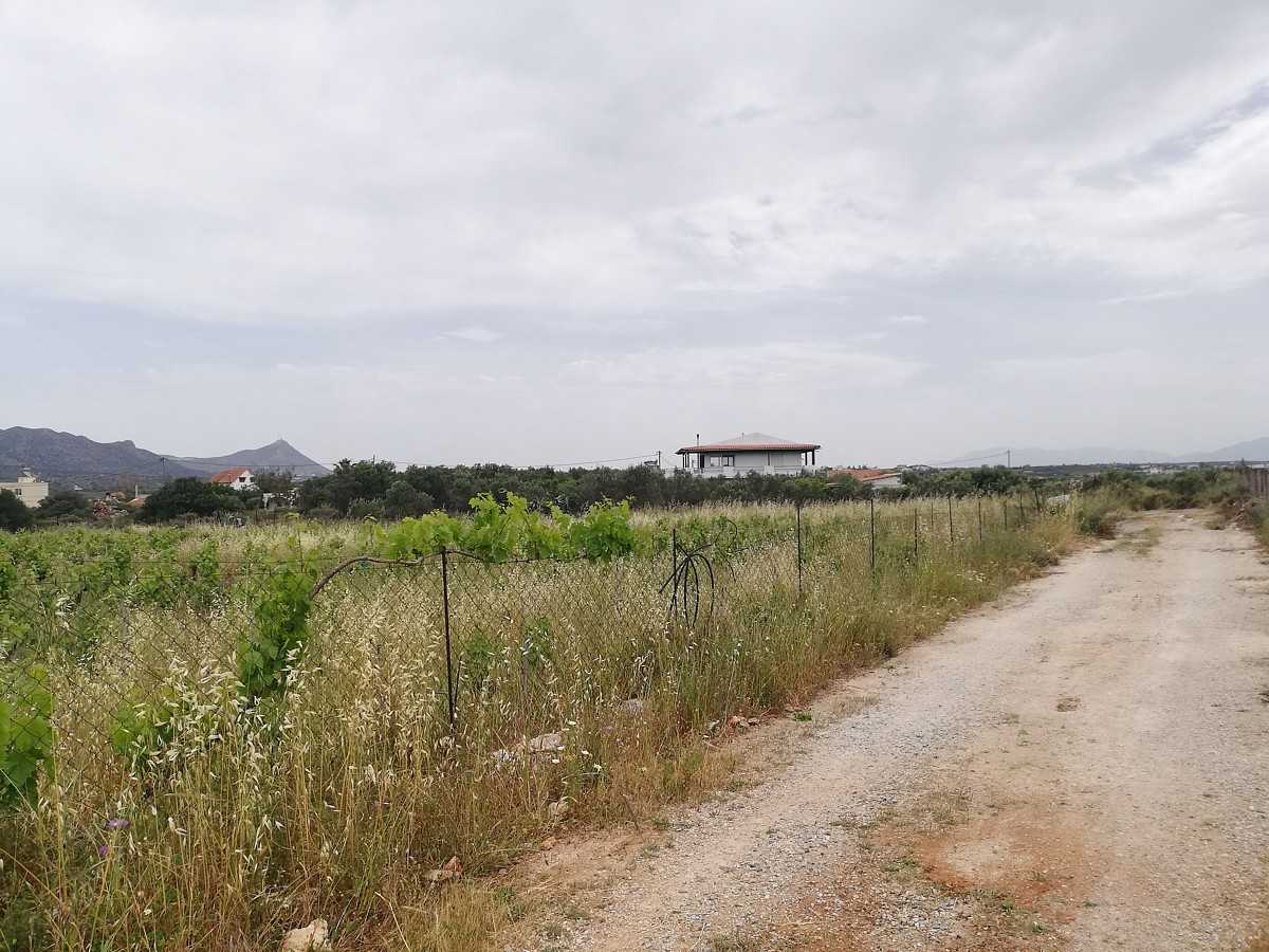 Tanah di Stavros,  10699703