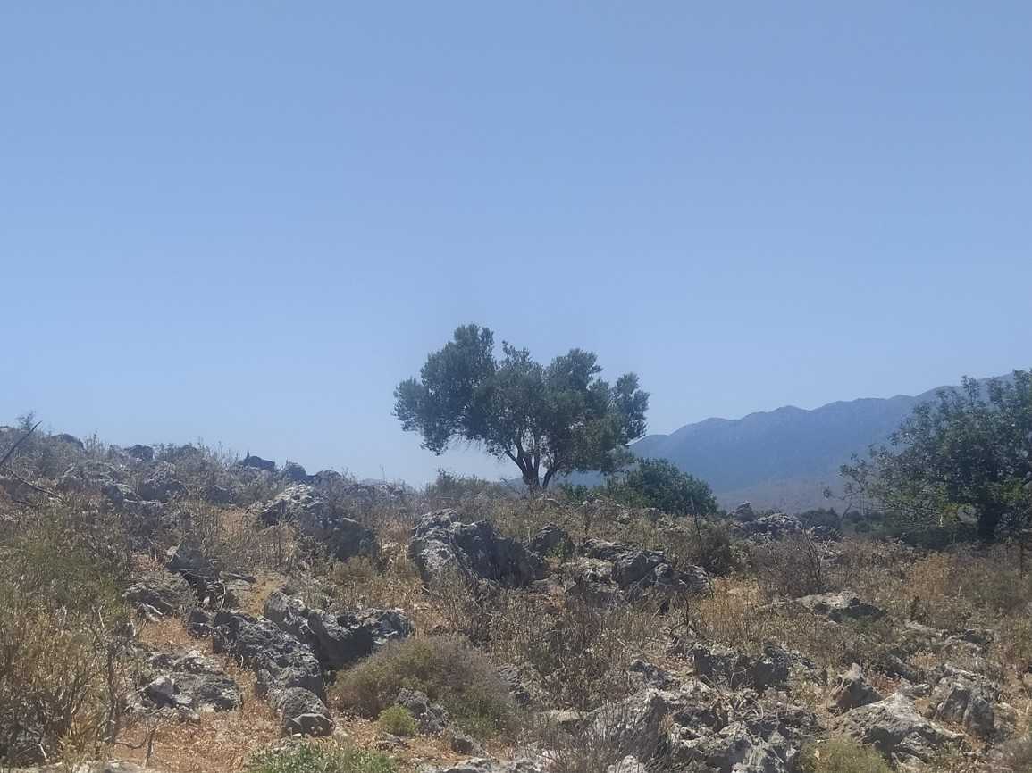 Maa sisään Neo Chorio, Crete,  10699708
