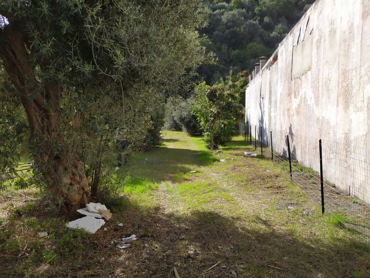 나라 에 Santa Teresa di Riva, Sicilia 10699934