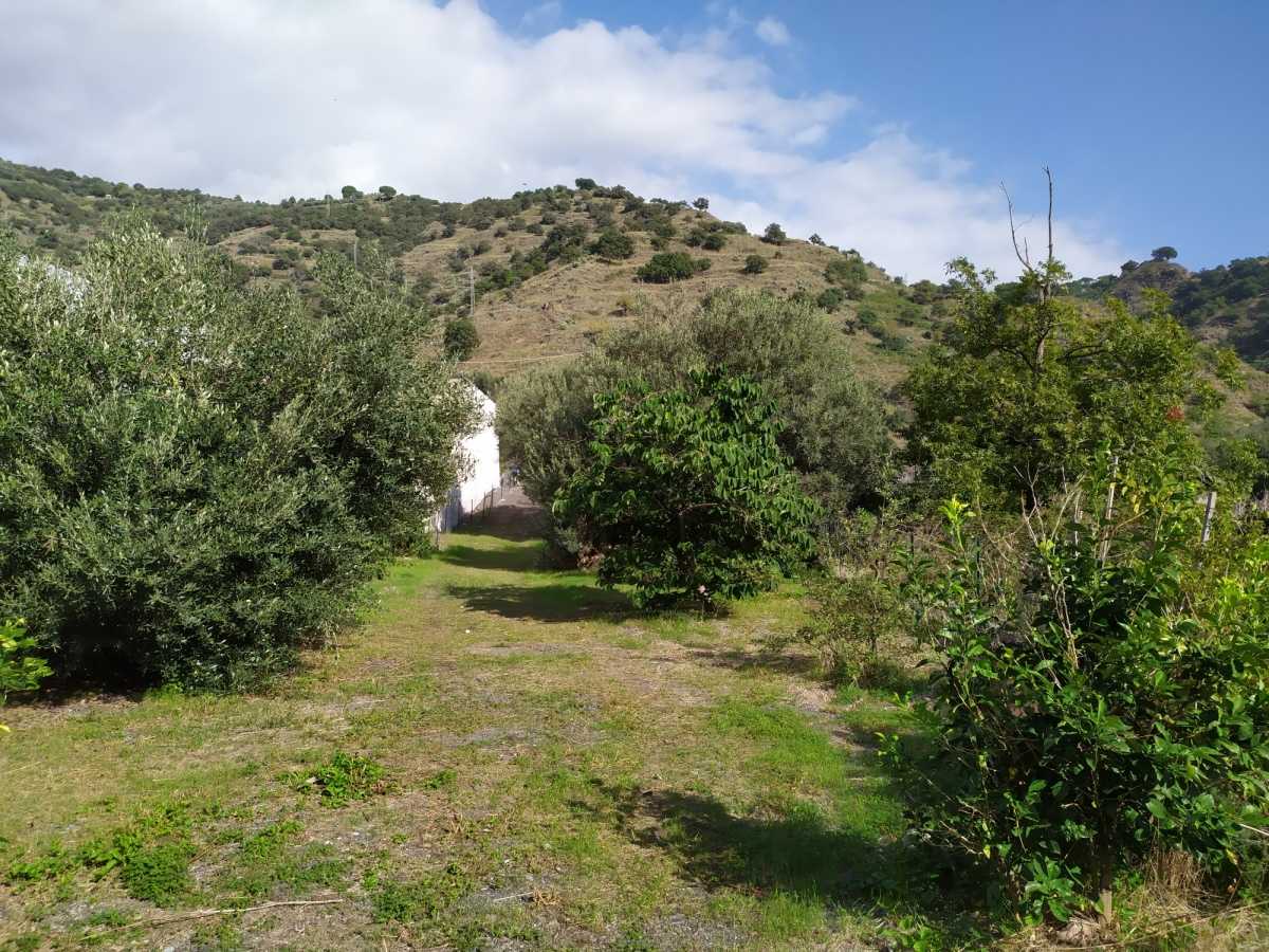 Земельные участки в Санта-Тереза-ди-Рива, Сицилия 10699934