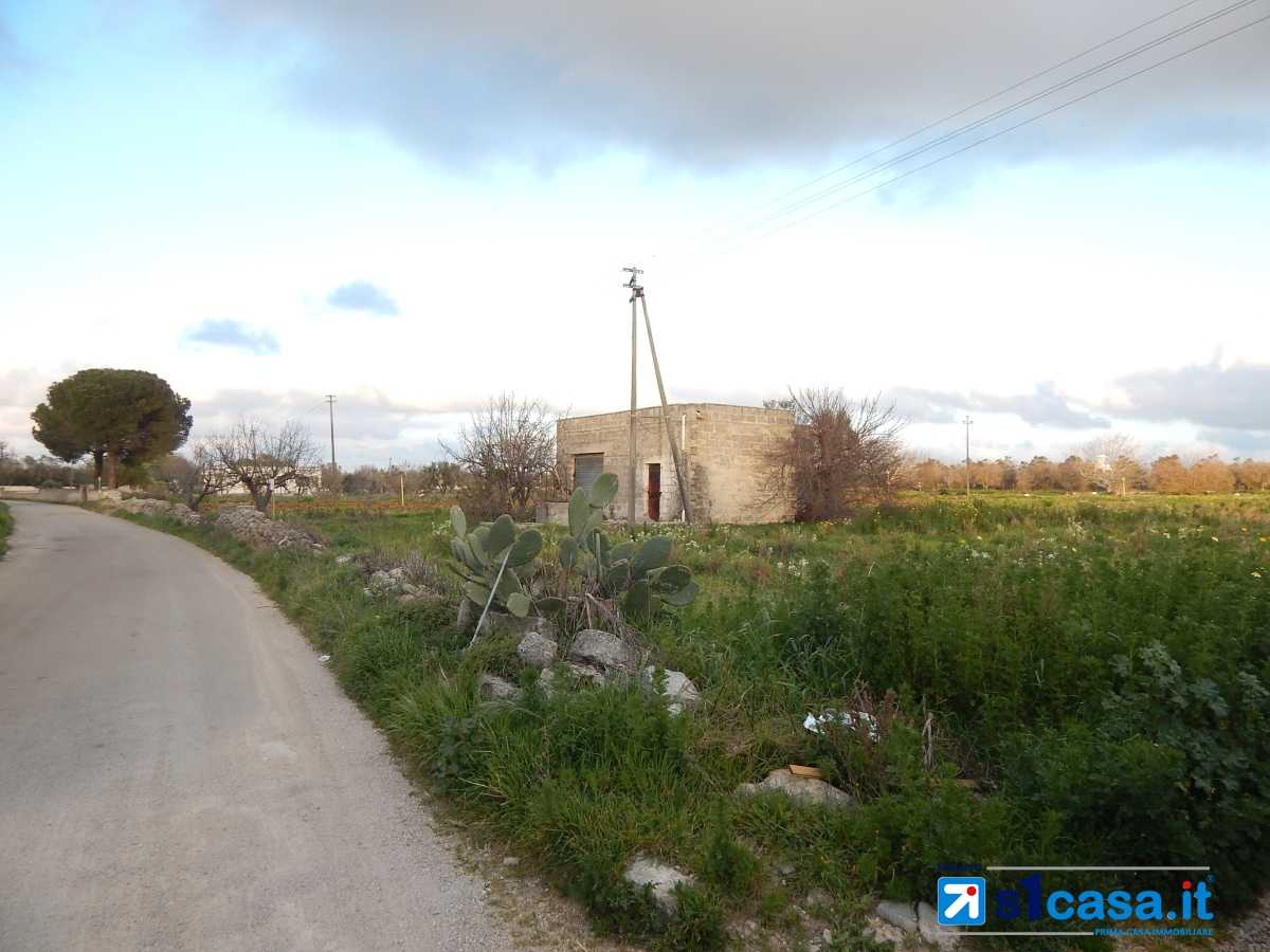 Land in Galatone, Apulia 10700052