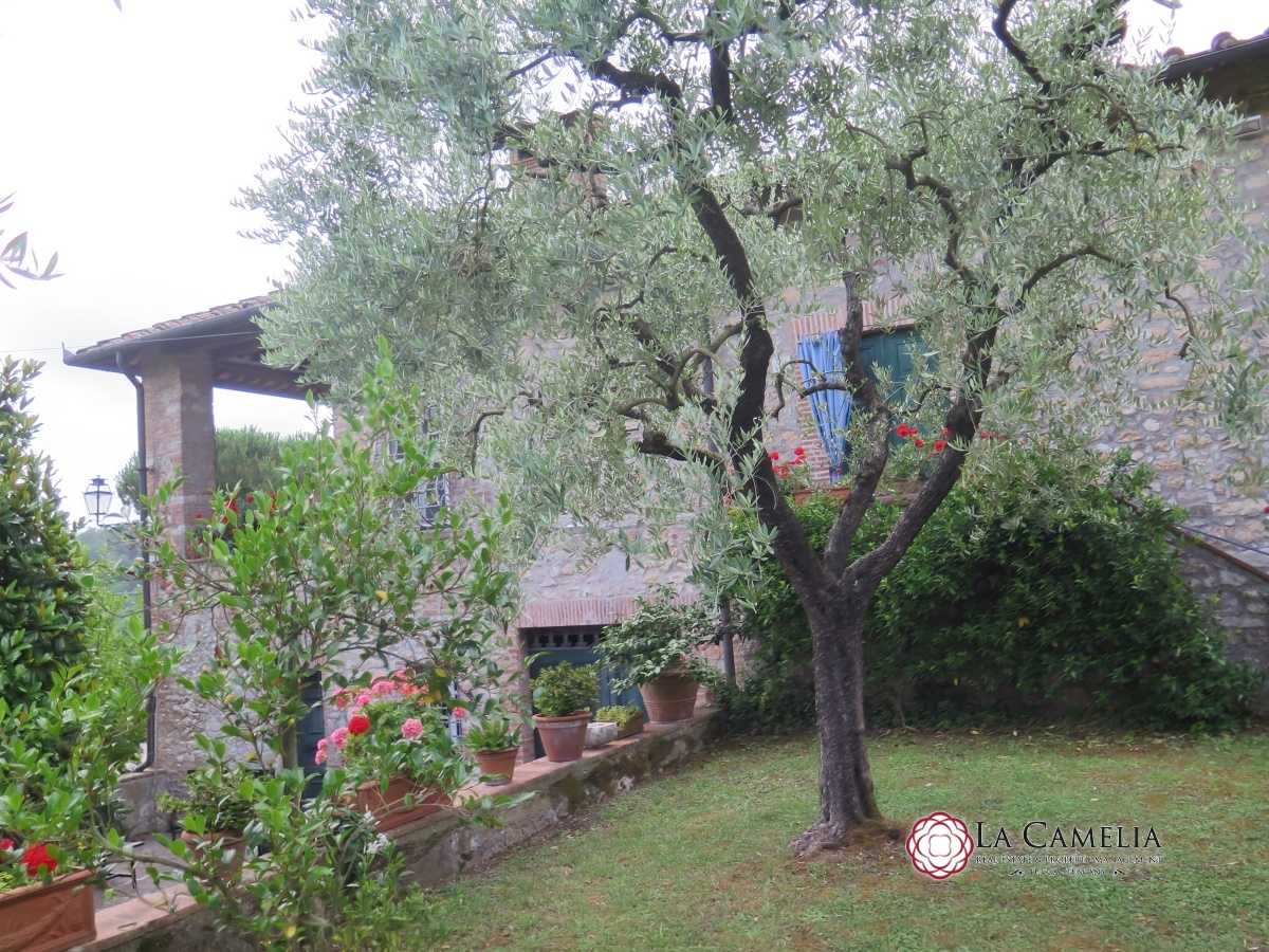 casa no Luca, Toscana 10700435