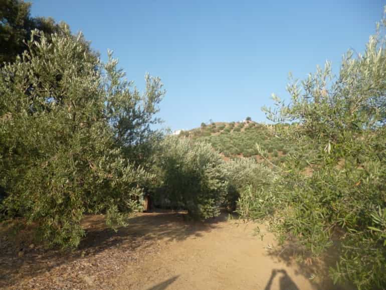 Land in Olvera, Andalusia 10700705