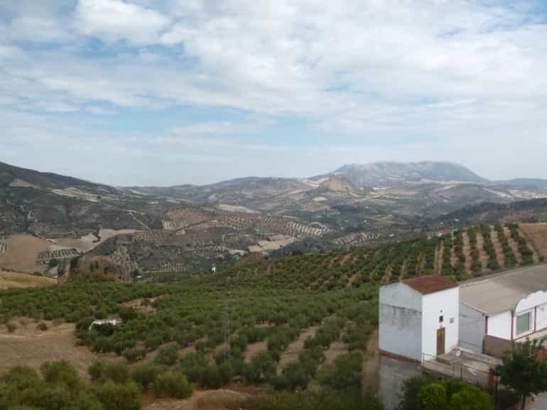 Eigentumswohnung im Olvera, Andalusien 10700822