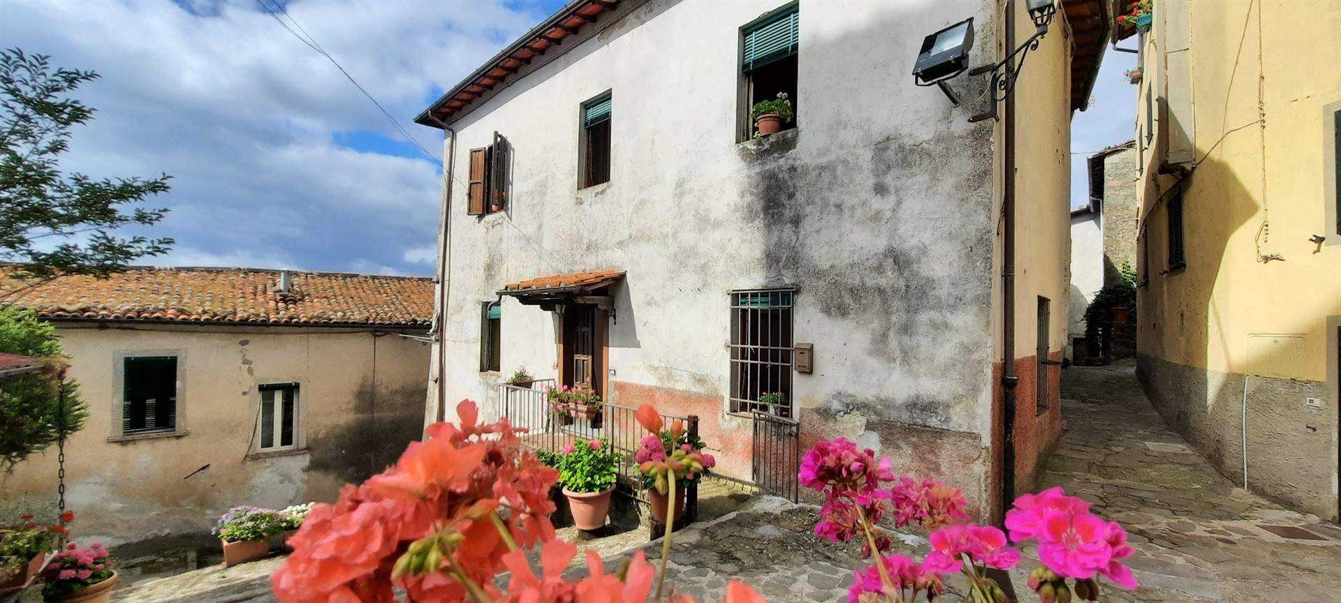 жилой дом в Барга, Тоскана 10701016