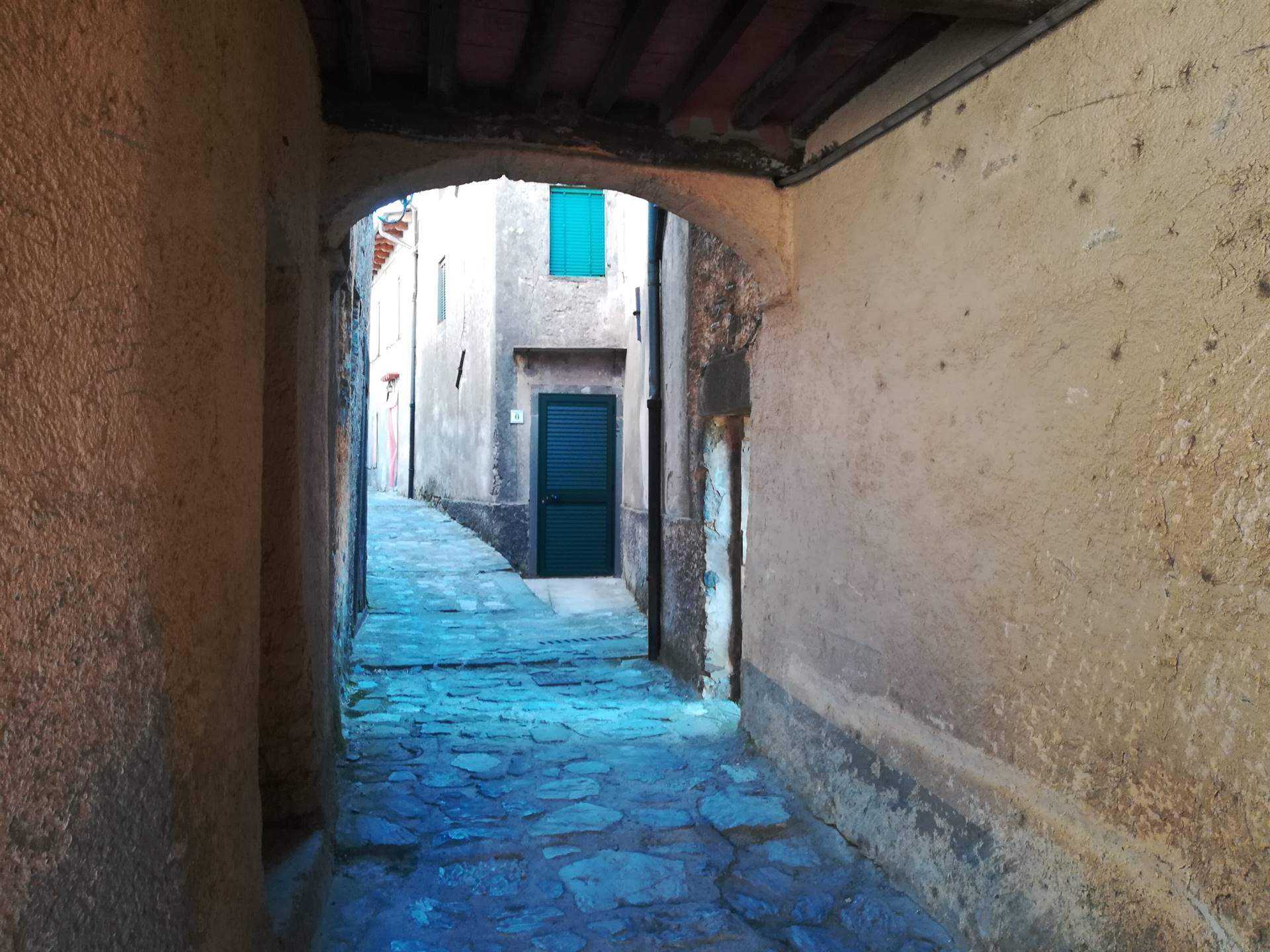 Rumah di Gallicano, Toskana 10701464