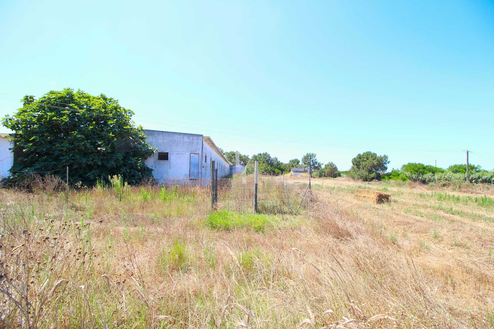 Land in Odeceixe, Faro District 10701579