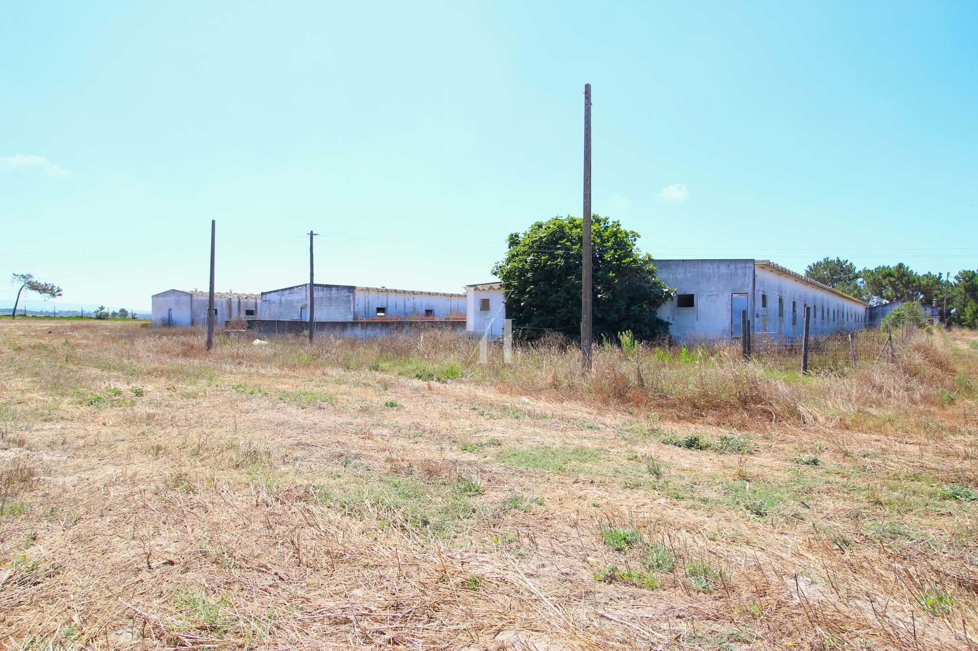 Land in Odeceixe, Faro District 10701579