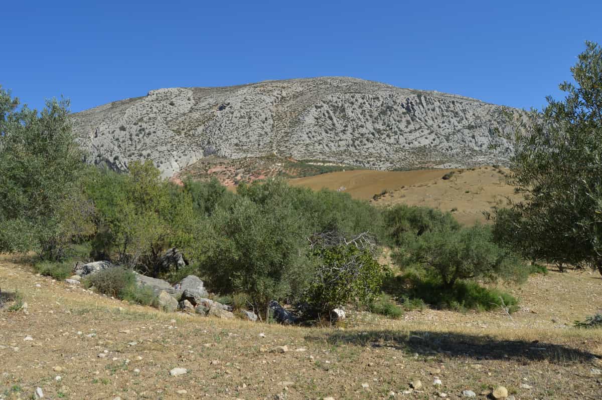 Tanah di Karatraca, Andalusia 10714182