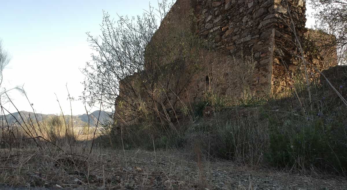 Tanah dalam Cartama, Andalusia 10714934