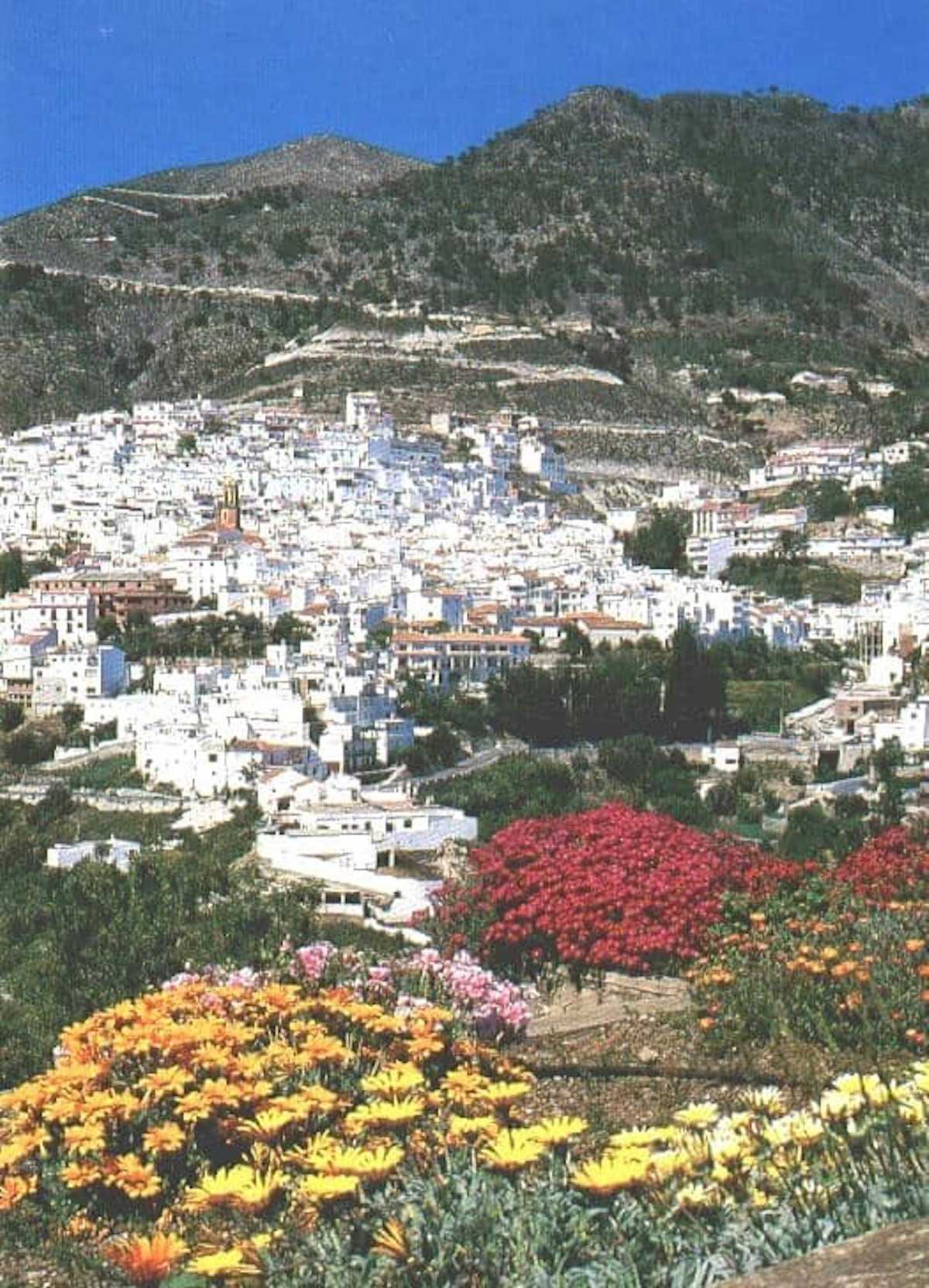 Land in Competa, Andalusië 10715428