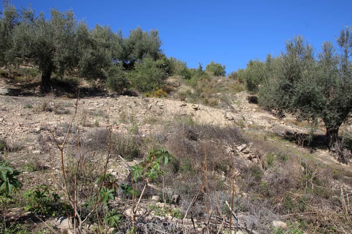 Land in Vinuela, Andalusia 10715633