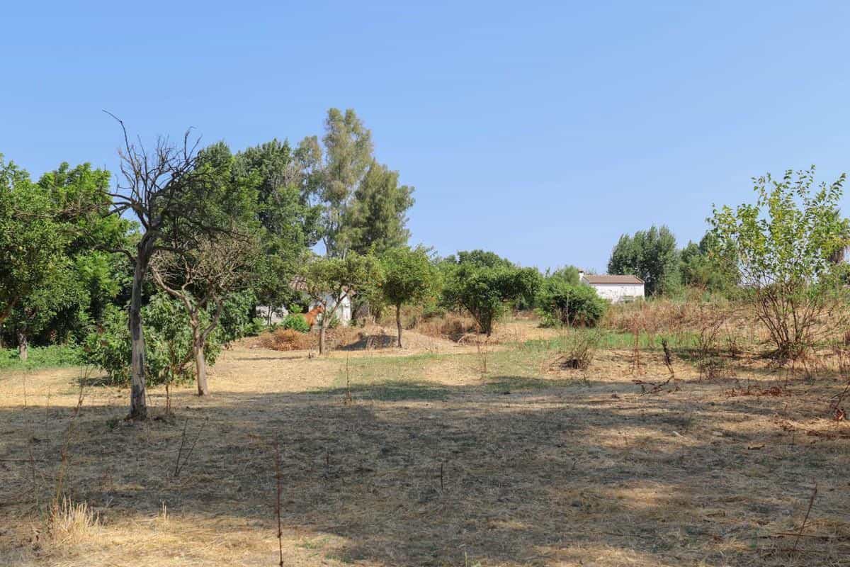 Land in Coin, Andalusia 10716888