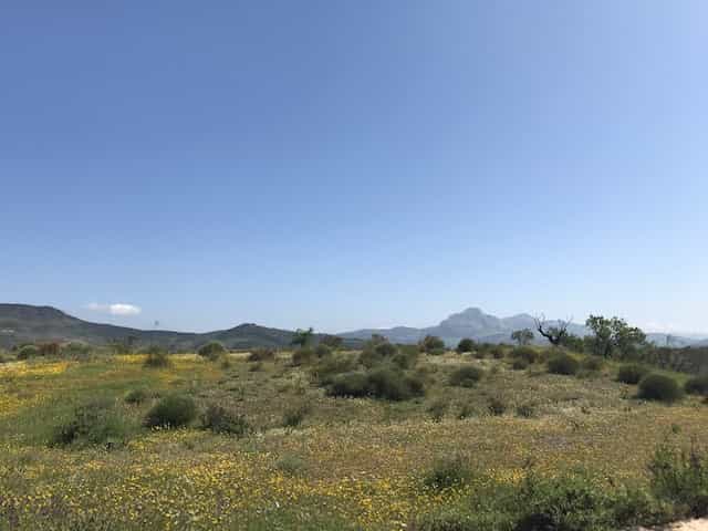 Tanah di Casabermeja, Andalusia 10717887