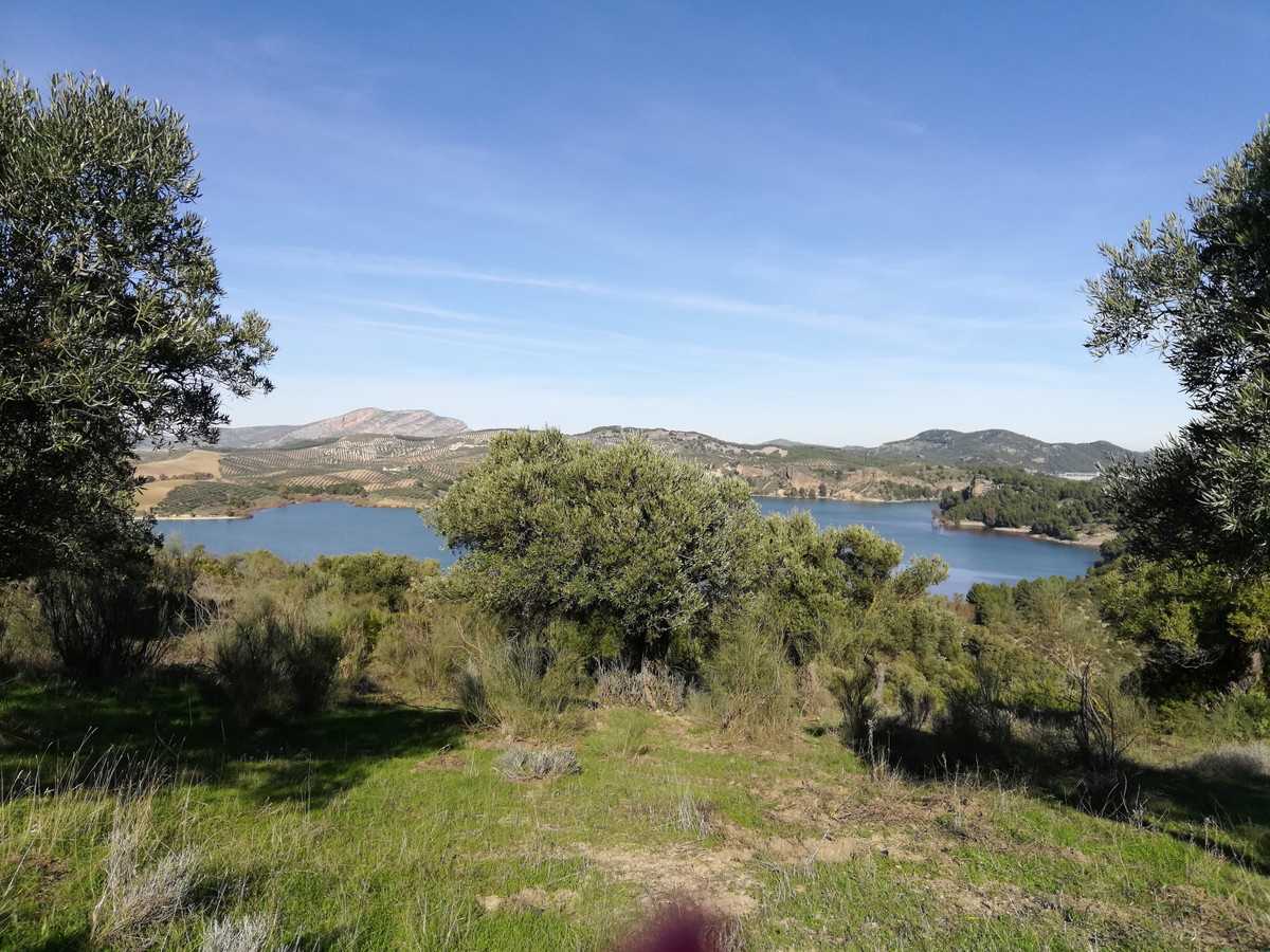 Tierra en El Chorro, Andalucía 10718568