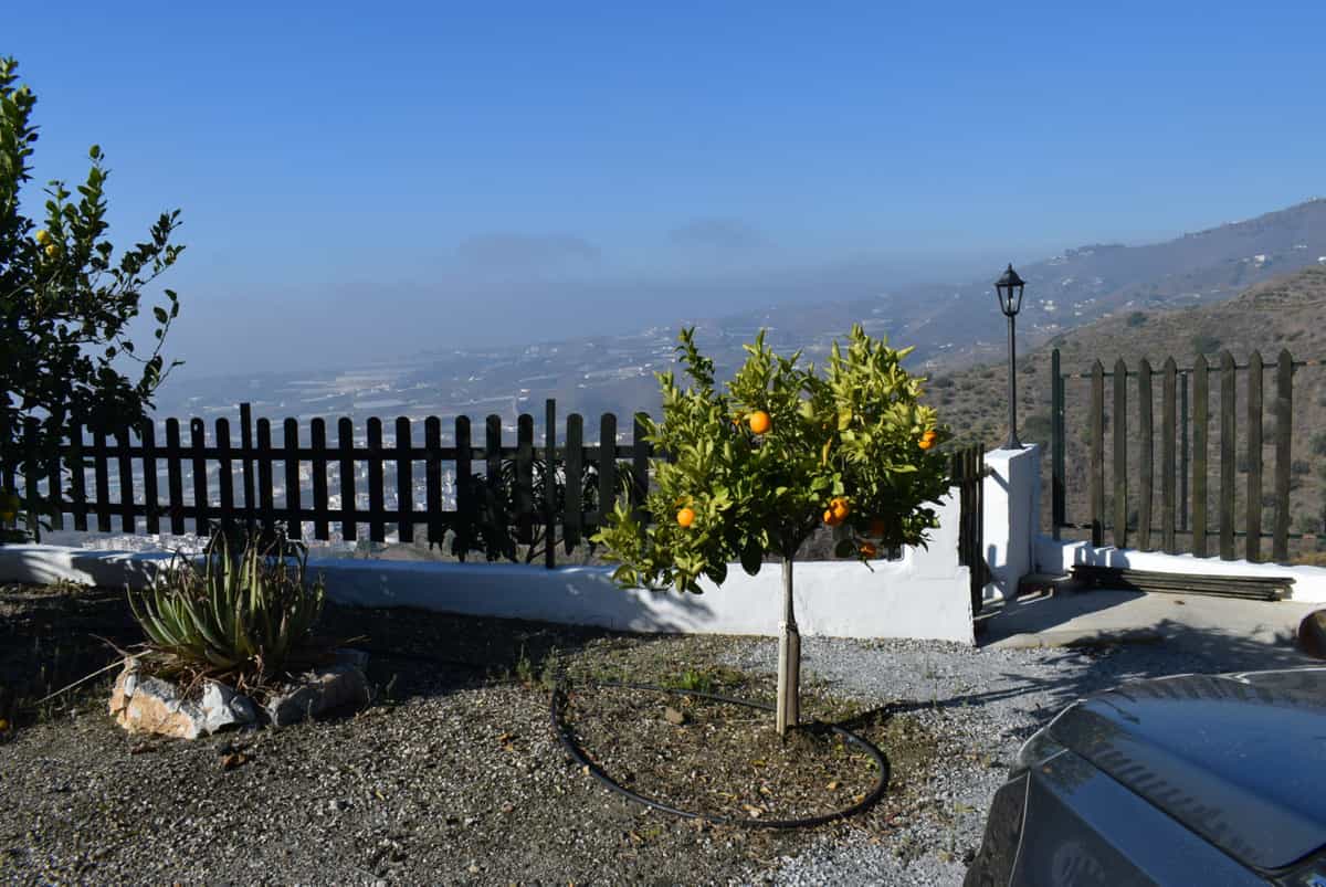 Haus im Algarrobo, Andalusien 10718742