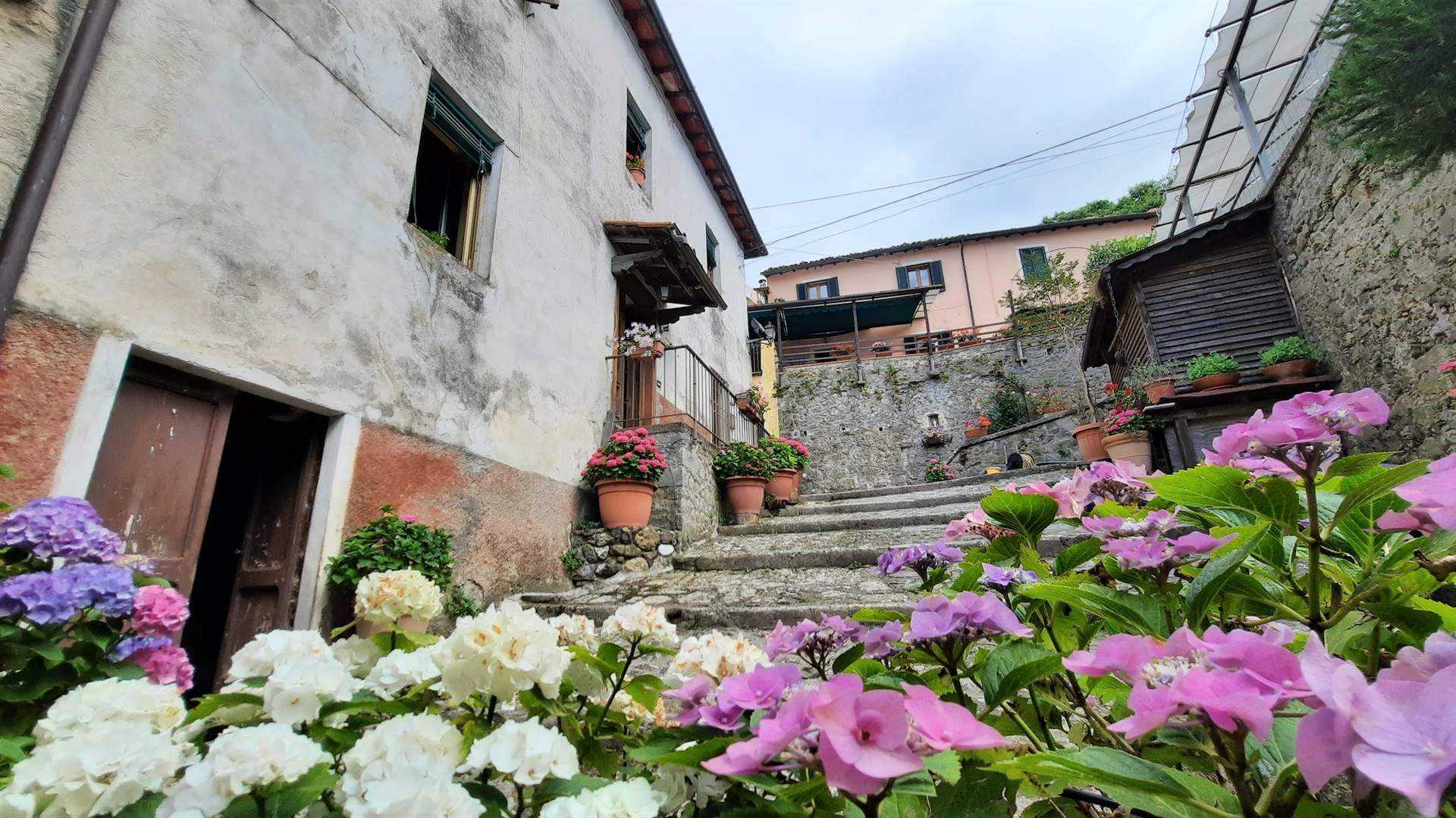 House in Barga, Tuscany 10719381