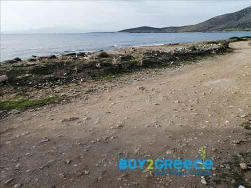 Land in Naxos, Notio Aigaiio 10719383