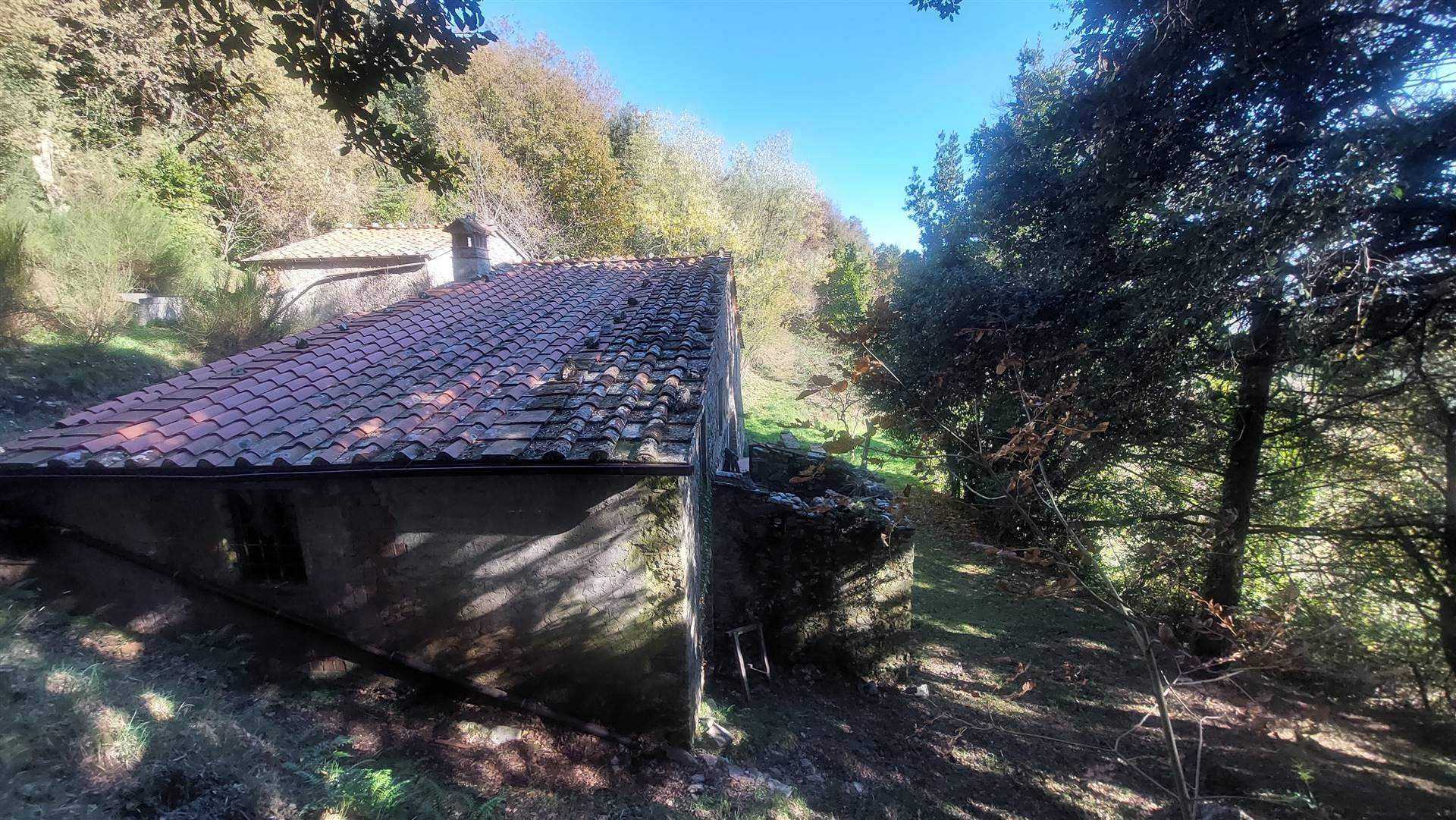 Hus i Pieve di Brancoli, Toscana 10719579