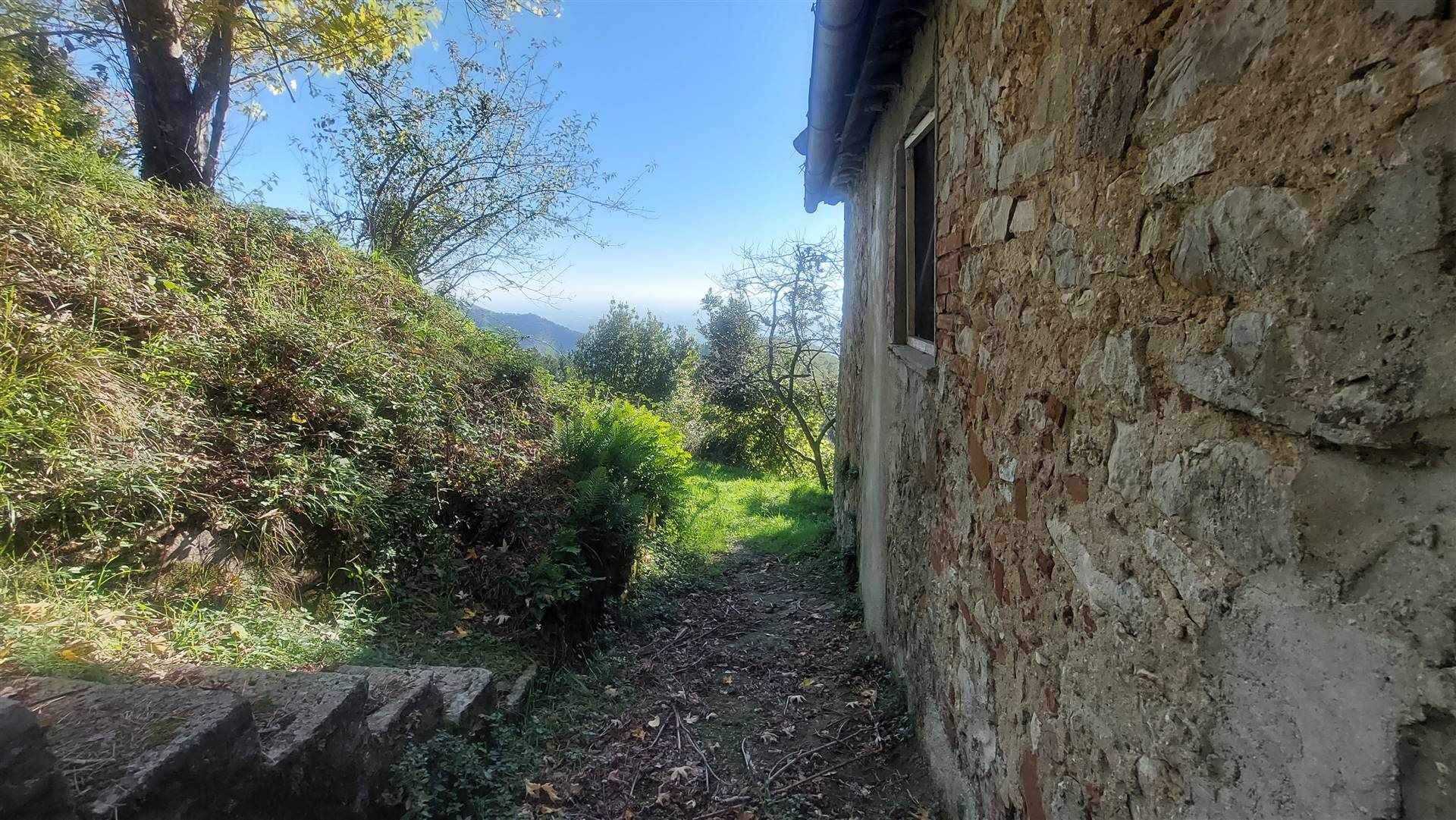 σπίτι σε Pieve di Brancoli, Toscana 10719579