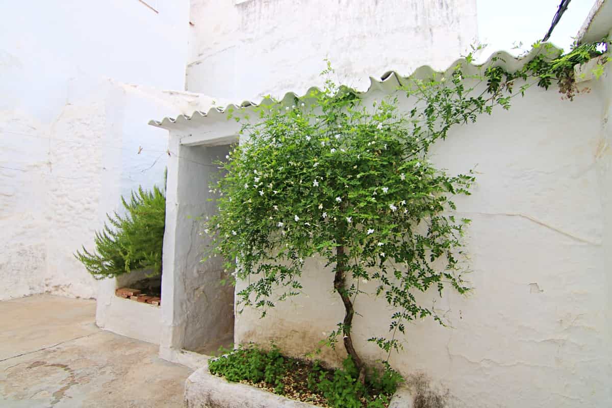 房子 在 Tolox, Andalucía 10719678