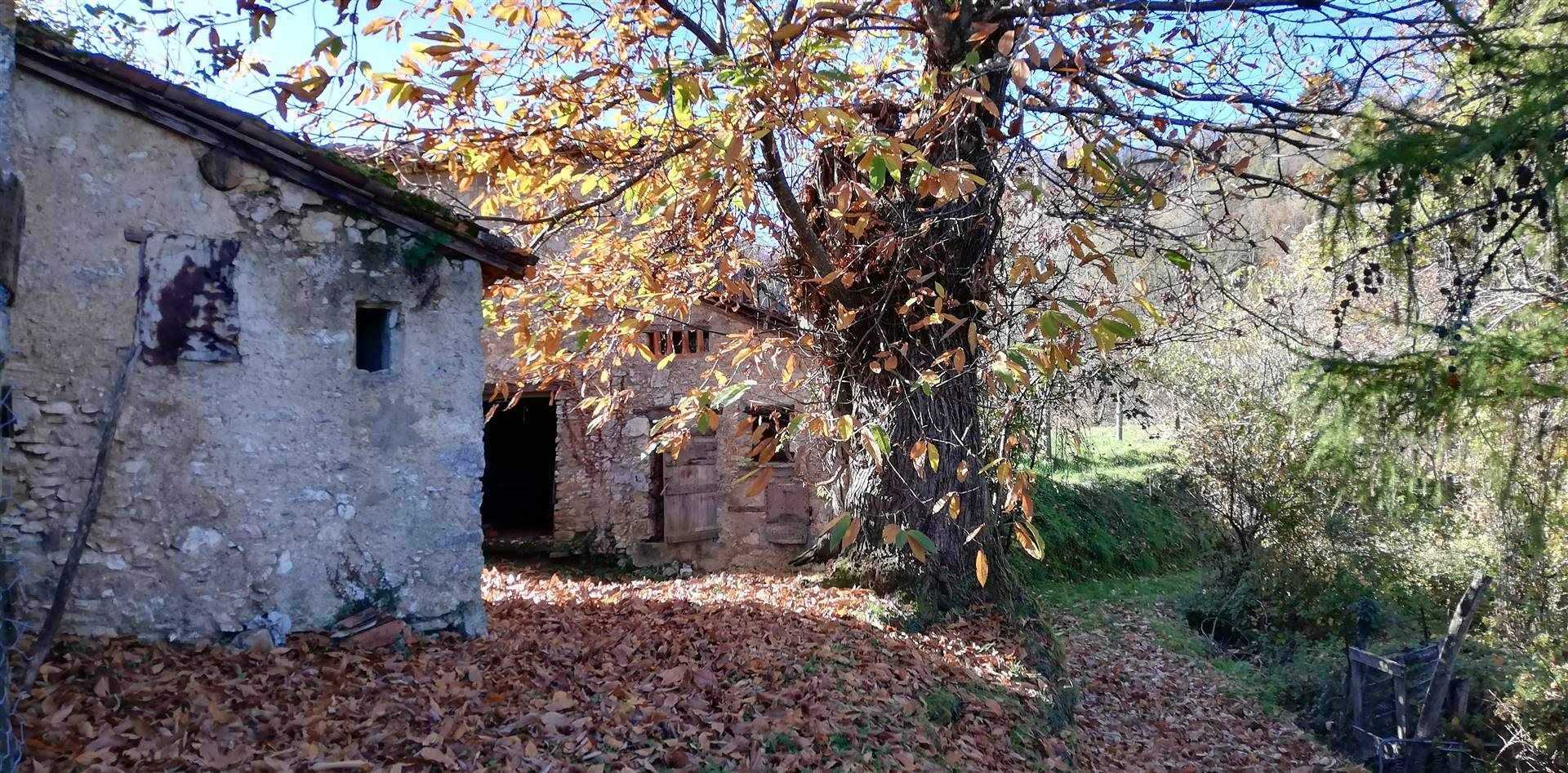 σπίτι σε Molazzana, Toscana 10719816