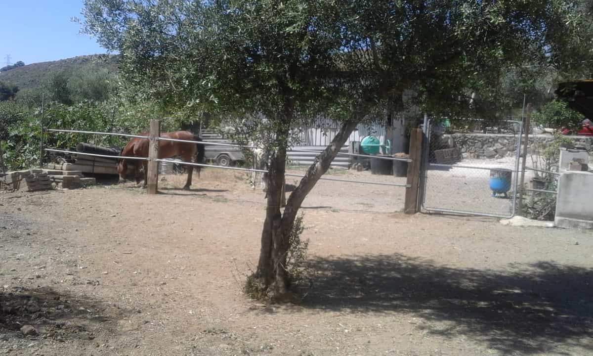 भूमि में ओजेन, Andalusia 10719856