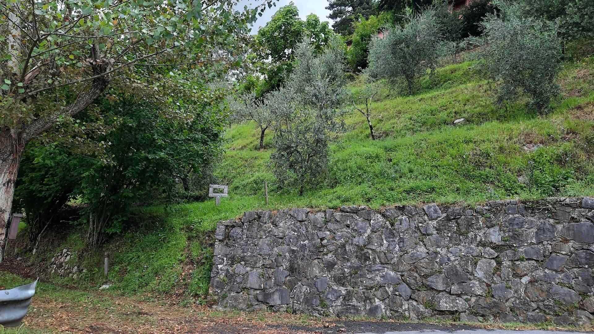 жилой дом в Barga, Toscana 10719870