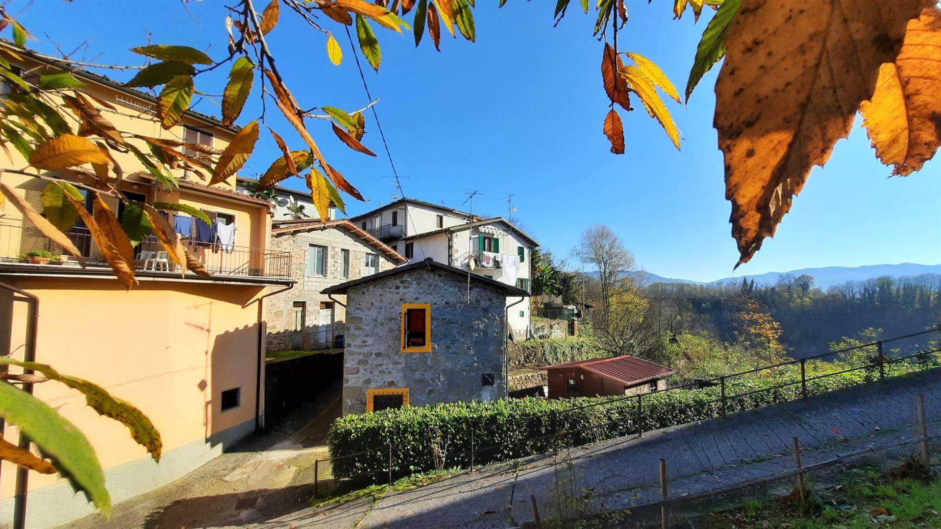 Huis in Barga, Toscane 10719879