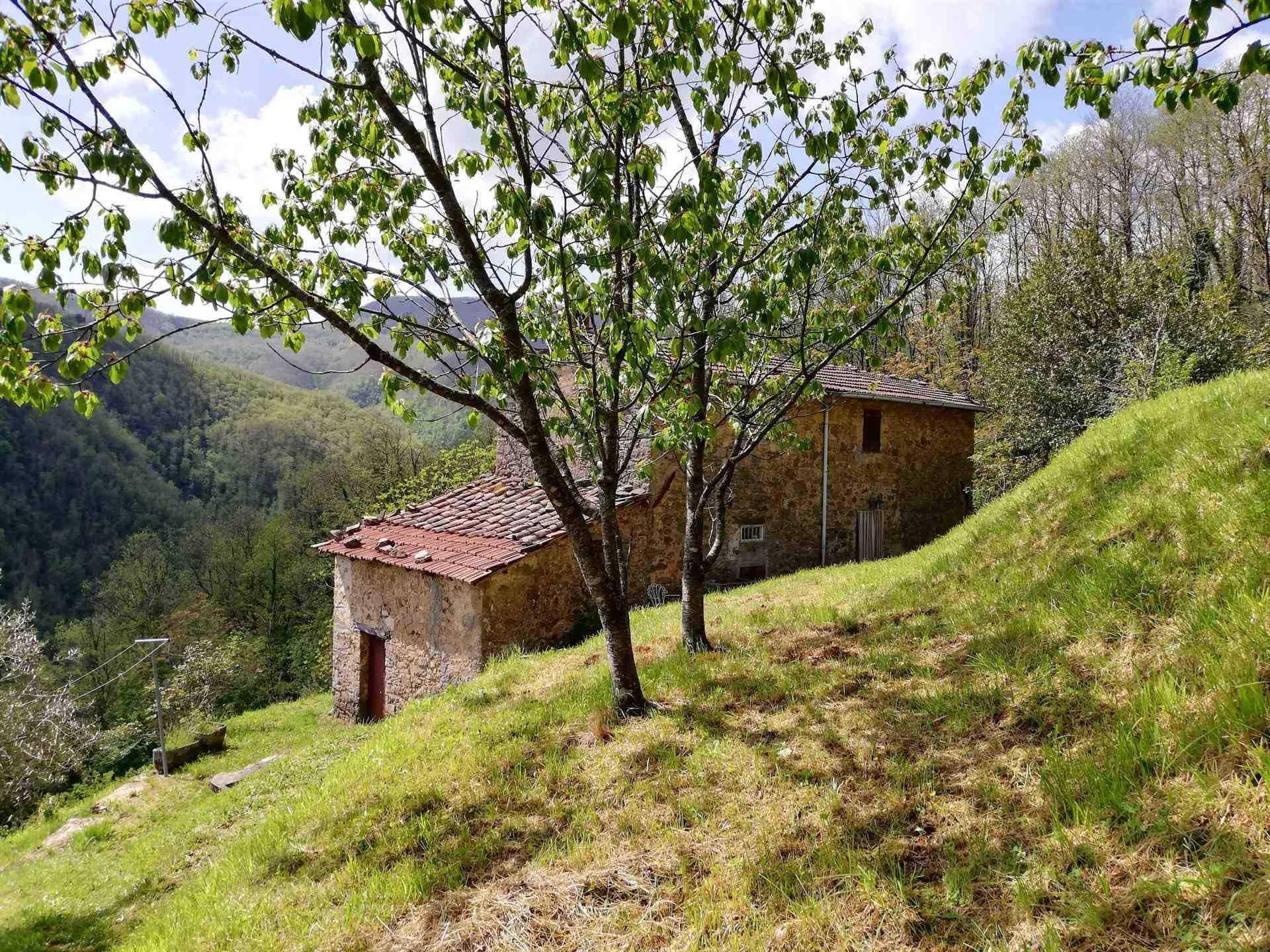 Dom w Fabbriche di Vallico, Toskania 10720234