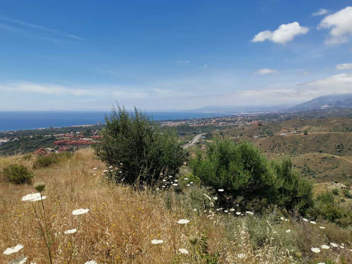 Land in El Angel, Andalusia 10720266