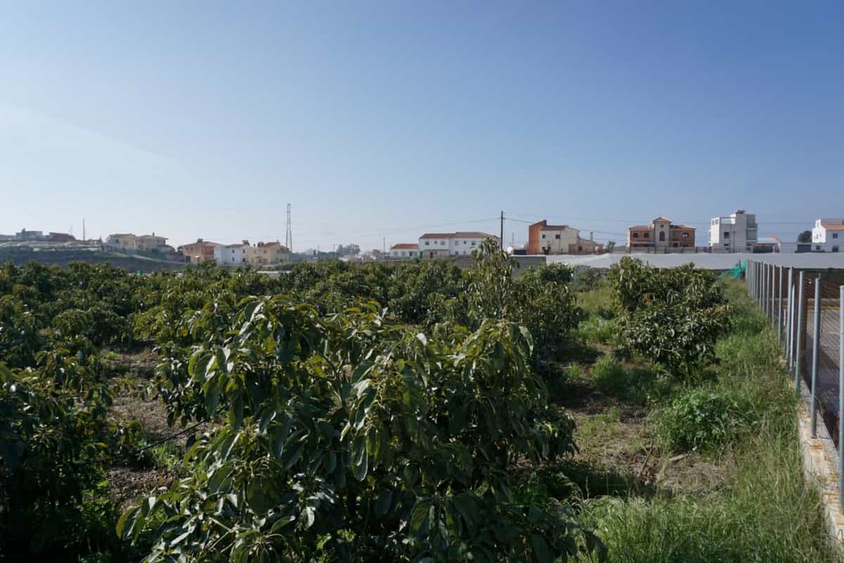 Land in Algarrobo, Andalusia 10720502