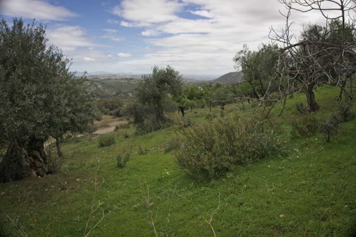 Tanah dalam Guaro, Andalusia 10721805