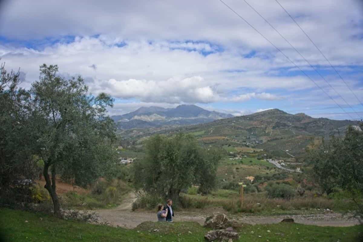 Land in Guaro, Andalusië 10721805