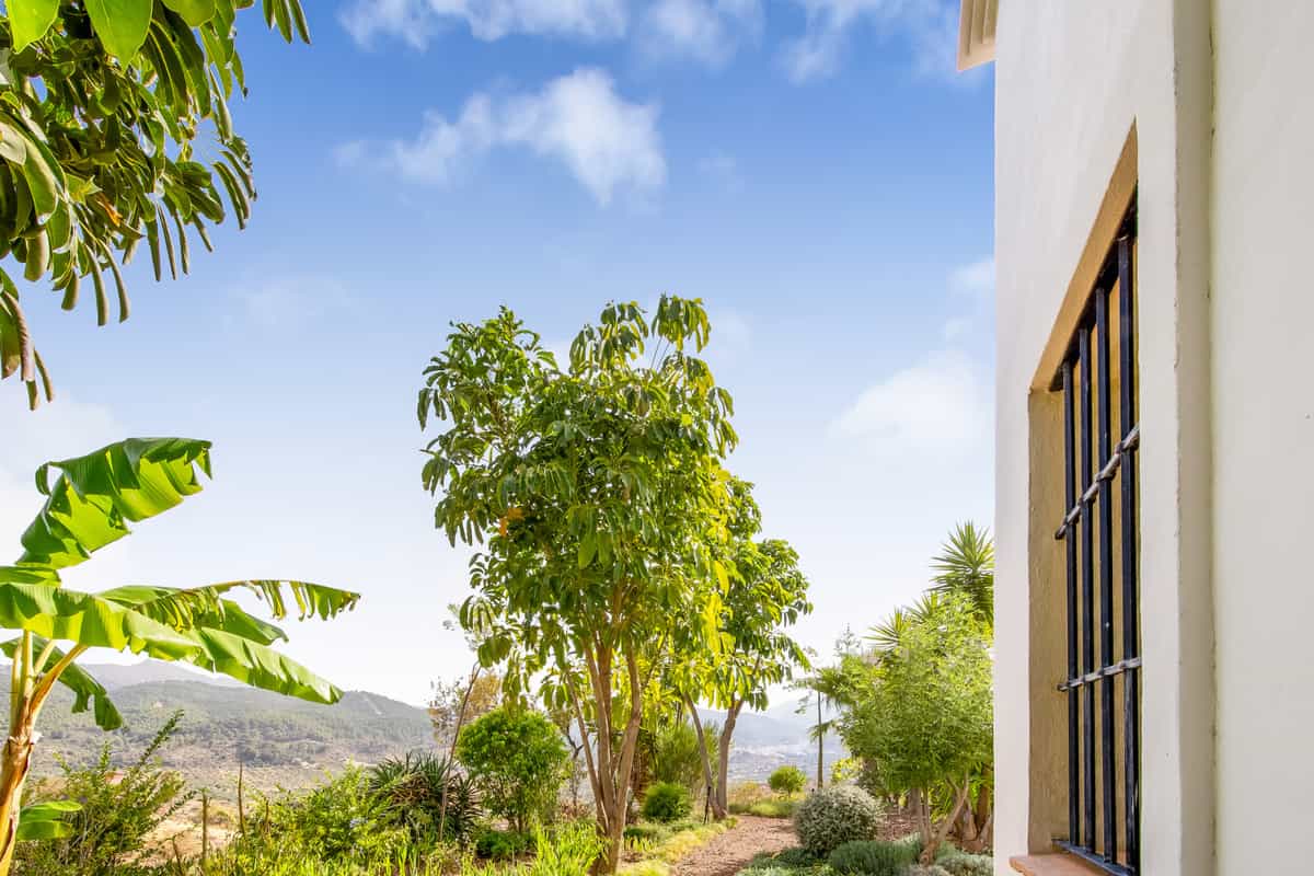 Haus im Montag, Andalusien 10722056