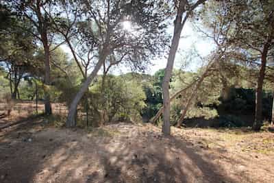 Земля в El Hornillo, Andalucía 10722111