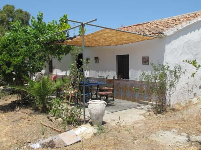 Hus i Triana, Andalusien 10722749