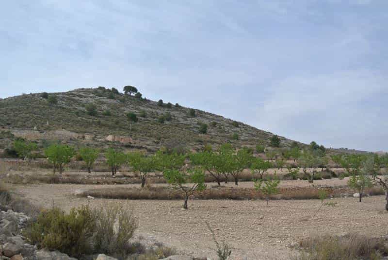 Land in Jumilla, Murcia 10722848