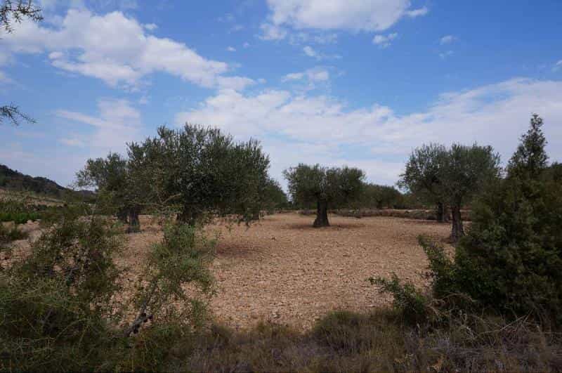 Tanah dalam Yecla, Murcia 10722851