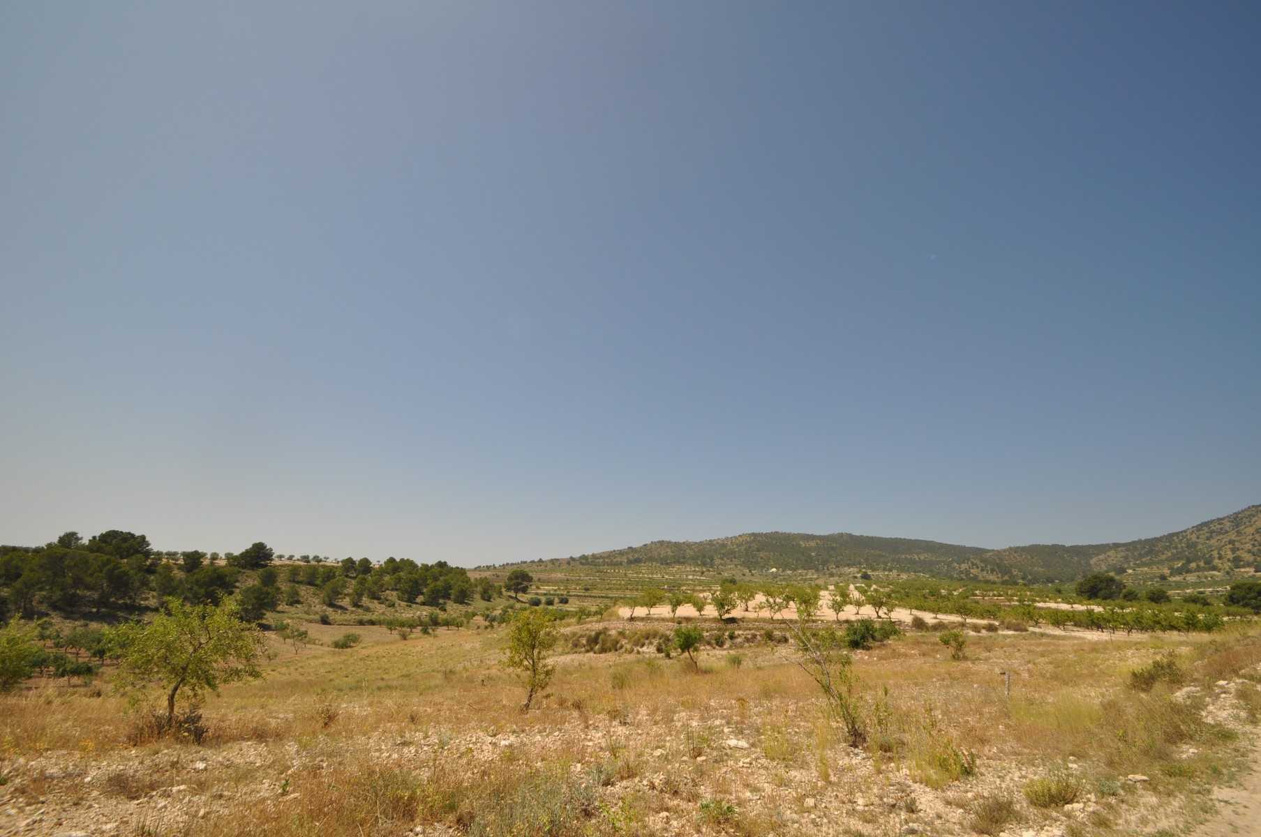 Tanah dalam Raspay, Region of Murcia 10723331
