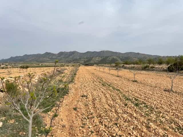 Tanah dalam Yecla, Región de Murcia 10723450